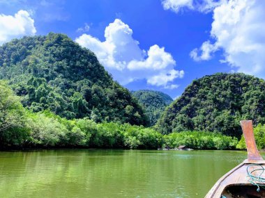 Yazın tropik cennet