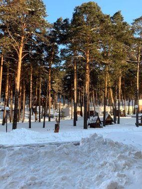 Kış Ormanında Asya Tapınağı