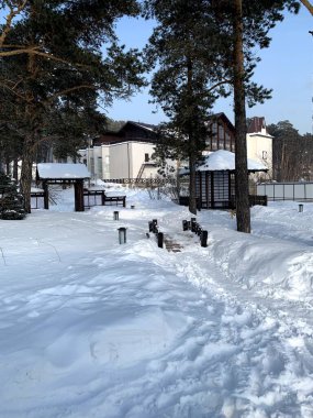 Kış Ormanında Asya Tapınağı