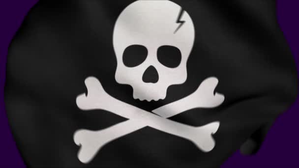 Pirata Crânio Enrugado Tecido Bandeira Intro Bandeira Caveira Pirata Banner — Vídeo de Stock