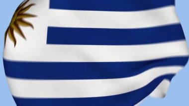 Uruguay Buruşuk Kumaş Bayrağı Girişi. Uruguay Bayrağı. Uruguay Bayrağı. Güney Amerika Bayrakları. Kutlama. Bayrak Günü. Vatanseverler. Gerçekçi Animasyon 4K. Yüzey dokusu. Arkaplan Kumaşı.