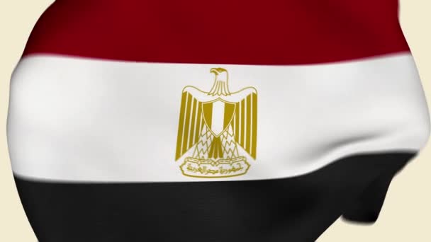 エジプトはファブリックフラッグの導入を粉砕しました エジプト国旗 アフリカ諸国の国旗 お祝いだ 旗の日 愛国者だ 現実的なアニメーション4K 表面の質感 背景生地 — ストック動画
