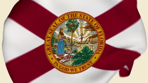 Florida State Estados Unidos Tela Arrugada Bandera Intro Bandera Estados — Vídeo de stock