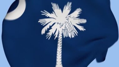 Güney Carolina Eyaleti, ABD Buruşuk Kumaş Bayrağı Girişi. ABD Bayrağı. Güney Carolina bayrağı. Kuzey Amerika Bayrakları. Kutlama. Vatanseverler. Gerçekçi Animasyon 4K. Yüzey dokusu. Arkaplan Kumaşı.