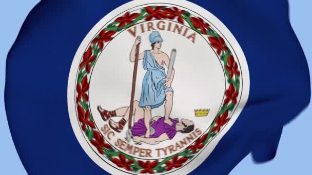 Virginia State Usa Crumpled Fabric Flag Intro Bandera Estados Unidos — Vídeo de stock