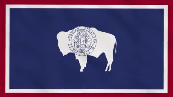 Wyoming State Usa Rumpad Tygflagga Intro Usa Flagga Delstaten Wyoming — Stockvideo