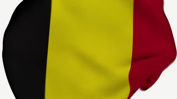 Belgien Crumpled Fabric Flag Introduktion Belgiens Flagga Belgien Banner Flaggor — Stockvideo