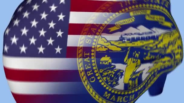 Nebraska State Usa Crumpled Fabric Flag Intro Bandera Estados Unidos — Vídeos de Stock