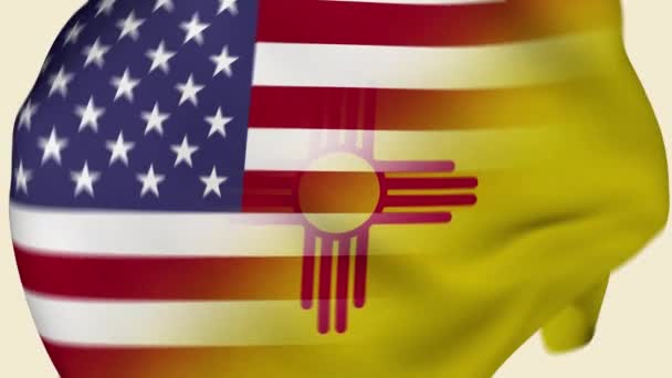 New Mexico State Usa Crumpled Fabric Flag Introduktion Usa Flagga — Stockvideo