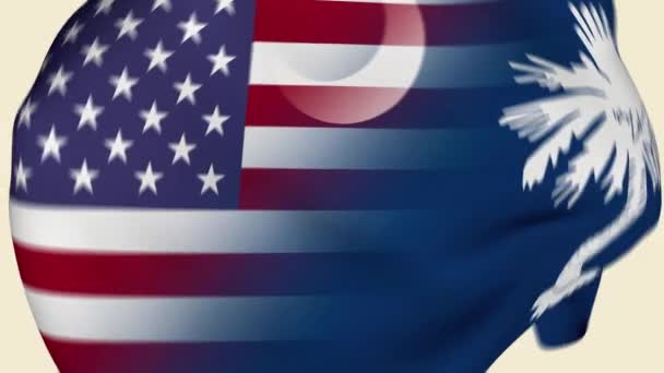 South Carolina State Stany Zjednoczone Ameryki Crumpled Fabric Flag Intro — Wideo stockowe