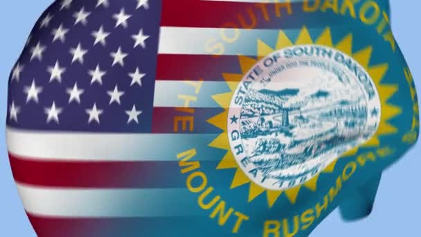 Dakota Del Sur Estado Tela Arrugada Bandera Introducción Bandera Estados — Vídeo de stock