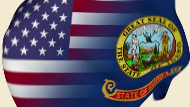 Idaho State Usa Rumpad Tygflagga Intro Usa Flagga Delstaten Idaho — Stockvideo