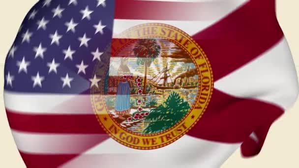 Florida State Usa Crumpled Fabric Flag Intro Bandera Estados Unidos — Vídeo de stock