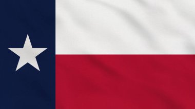 Texas ABD Dalgalı Kumaş Bayrağı. Teksas Bayrağı. Amerikan bayrağı. Kuzey Amerika Bayrakları. Kutlama. Arkaplan Kumaşı.