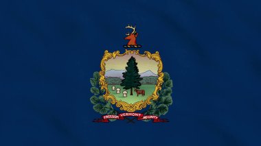 Vermont Eyaleti, ABD Dalgalı Kumaş Bayrağı. ABD Bayrağı. Vermont bayrağı. Kuzey Amerika Bayrakları. Kutlama. Vatanseverler. Arkaplan Kumaşı.