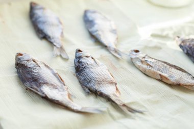 Güneşli bir günde cam kenarında kurumuş nehir balığı.