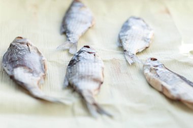 Güneşli bir günde cam kenarında kurumuş nehir balığı.