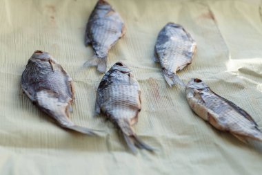 Güneşli bir günde cam kenarında kurumuş nehir balığı.