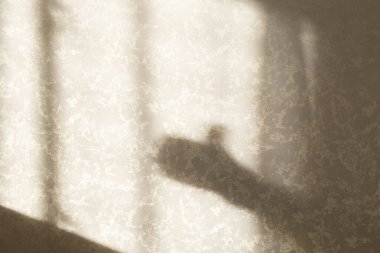 Güneşli bir günde duvarda duvar kağıtlarıyla gölgeler