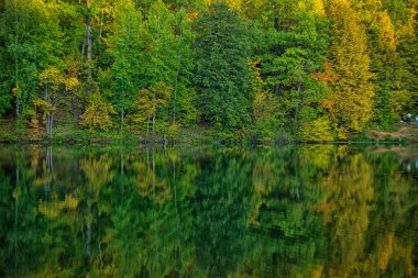 Akşam Cheboksary 'de öncü gölet Altın sonbahar