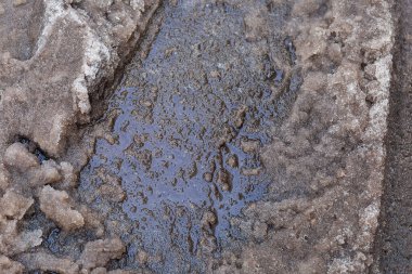 Karla karışık su, Kasım ayı başlarında filme alındı.