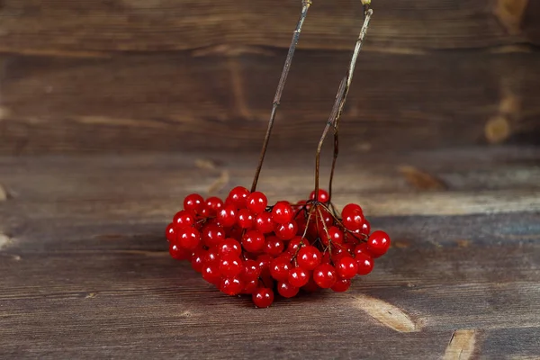 Svazek Viburnum Tmavém Pozadí — Stock fotografie