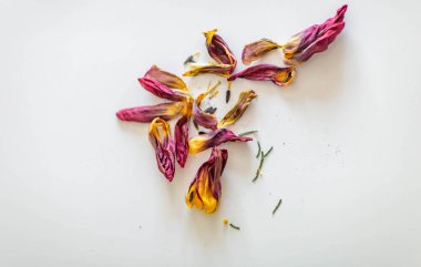 Beyaz bir masada kurutulmuş lale yaprakları.