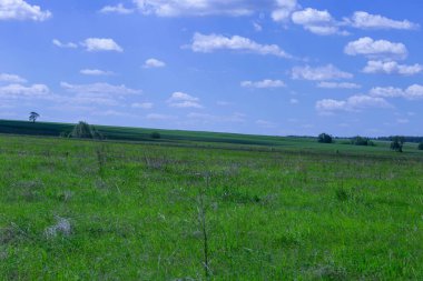 Baharın sonlarında tarla ve beyaz bulutlu mavi gökyüzü