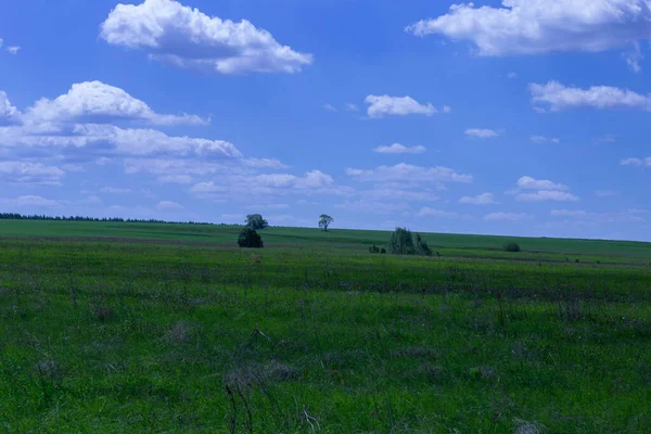 Field Late Spring Blue Sky White Clouds — Stock Photo, Image