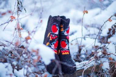 İşlemeli keçeli çizmeler bir kış akşamı kar, çalılar ve bir köy evinin arka planında çalındı.