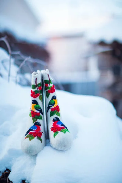 Şlemeli Keçeli Çizmeler Bir Kış Akşamı Kar Çalılar Bir Köy — Stok fotoğraf