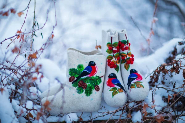 Şlemeli Keçeli Çizmeler Bir Kış Akşamı Kar Çalılar Bir Köy — Stok fotoğraf