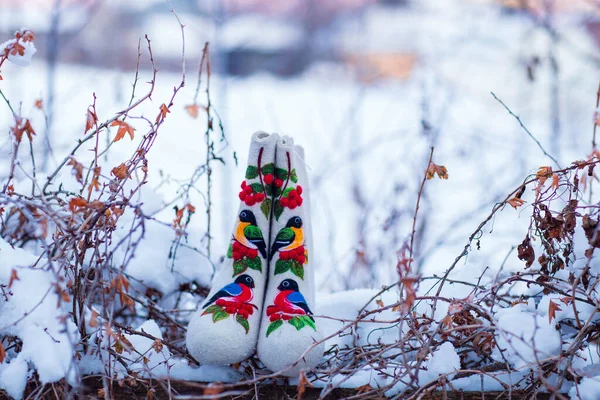 Şlemeli Keçeli Çizmeler Bir Kış Akşamı Kar Çalılar Bir Köy — Stok fotoğraf