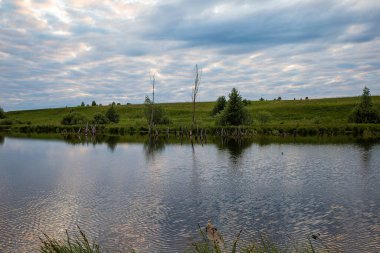 Gökyüzünde bulutların yansımaları ve kıyıda ağaçların olduğu bir gölet, Haziran ayı başlarında Chuvashia 'da çekildi.