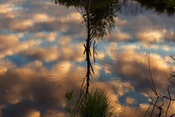 Estanque Con Reflejos Nubes Cielo Árboles Orilla Filmado Chuvashia Principios — Foto de Stock