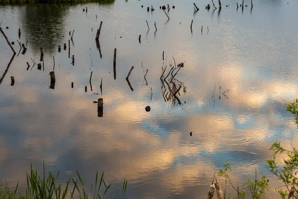 Ein Teich Mit Wolkenspiegelungen Himmel Und Bäumen Ufer Gefilmt Anfang — Stockfoto