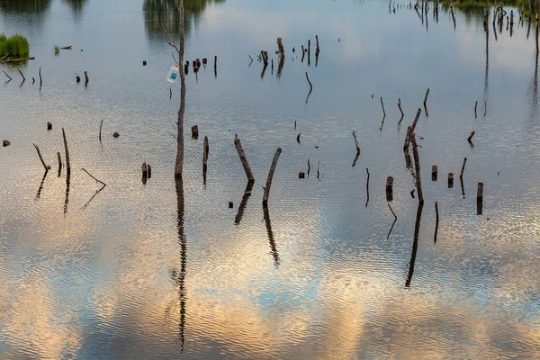 Pond Reflections Clouds Sky Trees Shore Filmed Chuvashia Early June — Stock Photo, Image