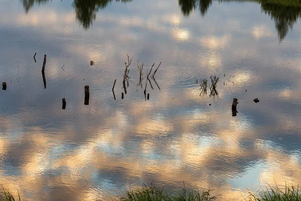 Ein Teich Mit Wolkenspiegelungen Himmel Und Bäumen Ufer Gefilmt Anfang — Stockfoto