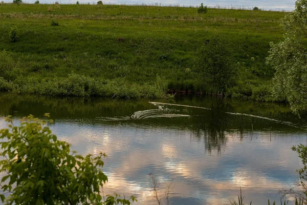 6月上旬にチュヴァシャで撮影された海岸沿いの木々や空に雲が反射した池 — ストック写真