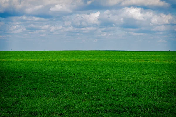 Campo Verde Céu Azul Com Nuvens Filmado Dia Agosto Chuvashia — Fotografia de Stock
