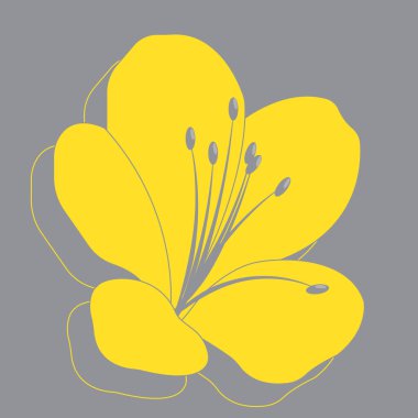 Yellow illuminating azaleas flower on ultimate gray background clipart