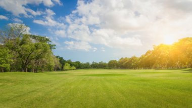 Kamu Parkı. Park Sermaye. Park çim yeşil. 
