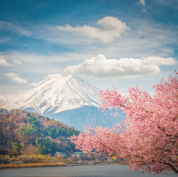 Βουνό Φούτζι στην άνοιξη, κεράσι ανθίσει sakura — Φωτογραφία Αρχείου