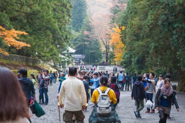 Nikko, Japonya - Kasım 4: 4 Kasım 201 üzerinde Tosho-gu tapınak insanlar ziyaret edin