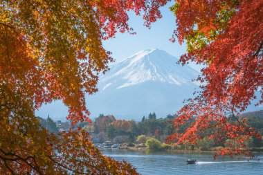 kırmızı çerçeve akçaağaç yaprağı ve mt. Fuj