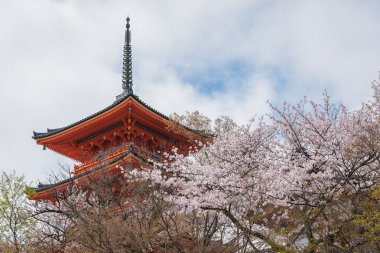 Kyoto, Japonya bahar Kiyomizu-dera Tapınağı'nda