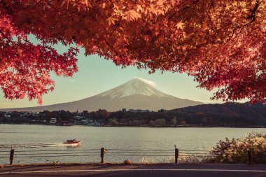 kırmızı çerçeve akçaağaç yaprağı ve mt. Fuji, vintag