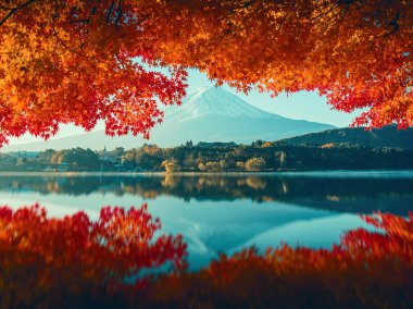 Mt.Fuji in autumn,mornin clipart
