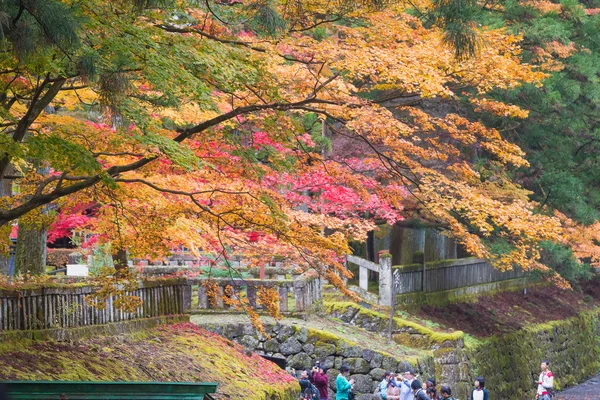 NIKKO, JAPON - NOV 4 : Visite du sanctuaire Tosho-gu le 4 novembre 201 — Photo