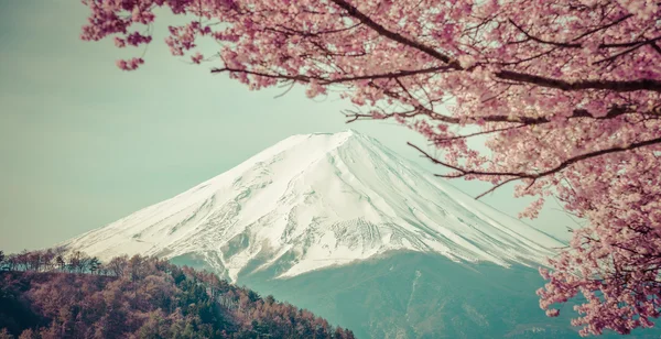 Montaña Fuji en primavera, Flor de cerezo Sakura, vendimia —  Fotos de Stock
